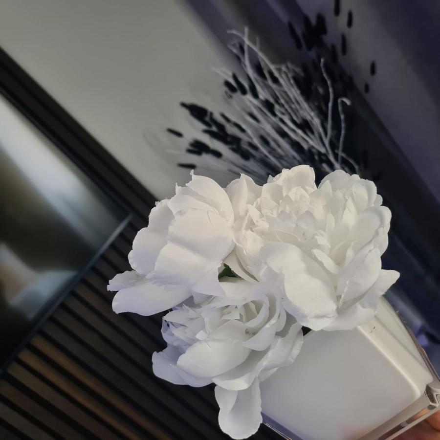 Luxury 9Ine Penthouse With Garden & Jacuzzi Lejlighed Birmingham Eksteriør billede