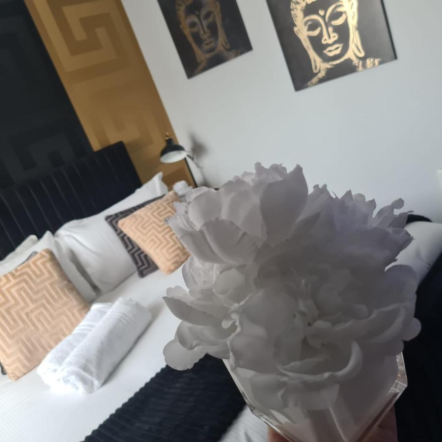 Luxury 9Ine Penthouse With Garden & Jacuzzi Lejlighed Birmingham Eksteriør billede